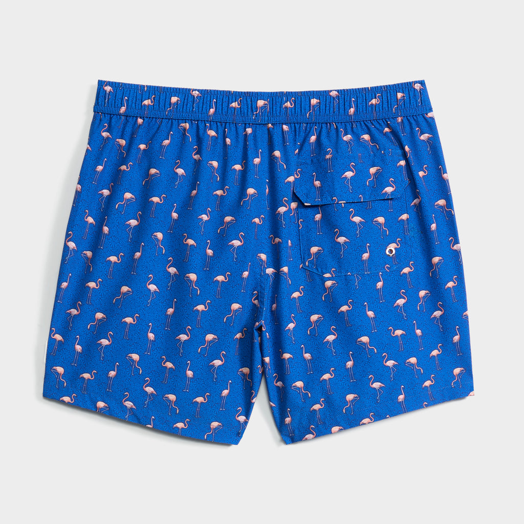 The FLAMINGO VIBES swim trunk by PUBLIC BEACH SWIM features a bright blue color, pink flamingo pattern, elastic waistband, quick-dry fabric, and single back pocket.